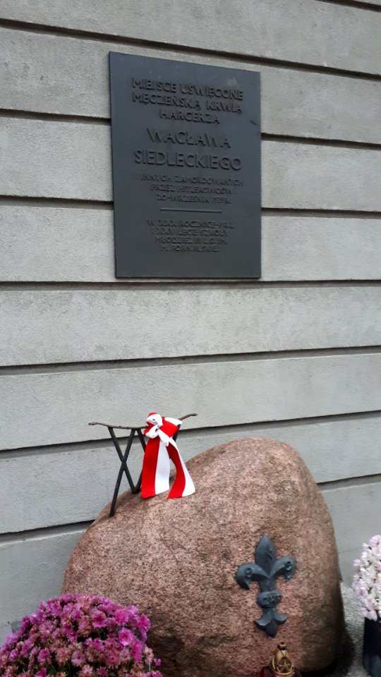 20191110_152343_Głaz_i_tablica_upamiętniające_miejsce_rozstrzelania_harcerza_Wacława_Siedleckiego