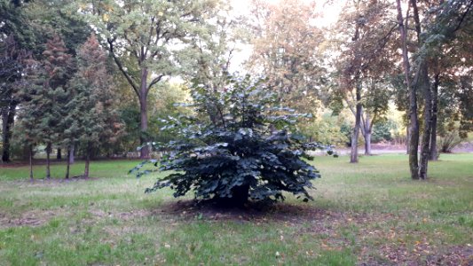 20190928_180050_Park_Piłsudskiego_in_Łódź