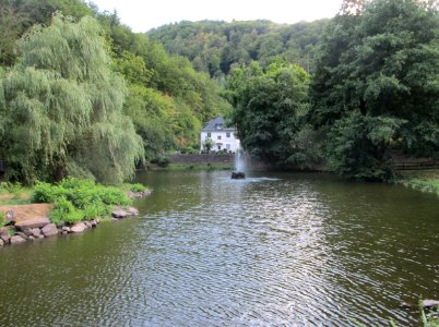 20190810Schwanenteich4