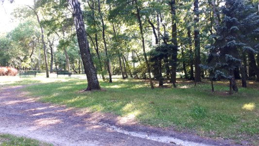 20190809_165101_Park_Piłsudskiego_in_Łódź