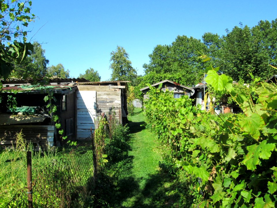 20190914Schrebergarten_Brebach4