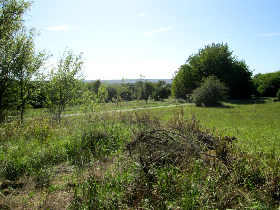 20190918Bunker_Bischmisheim1
