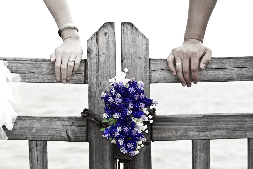 Wooden fence love purple