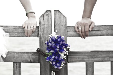 Wooden fence love purple