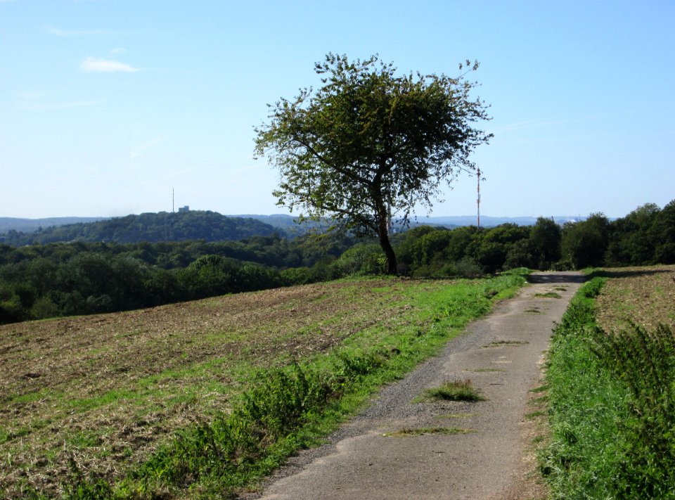 20190918Bischmisheim4