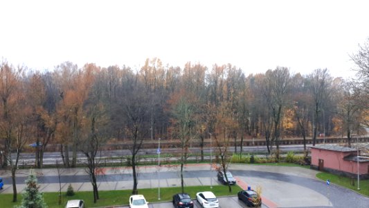 20191111_075312_November_2019_in_Bialystok
