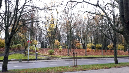 20191111_090727_Park_centralny_in_November_2019