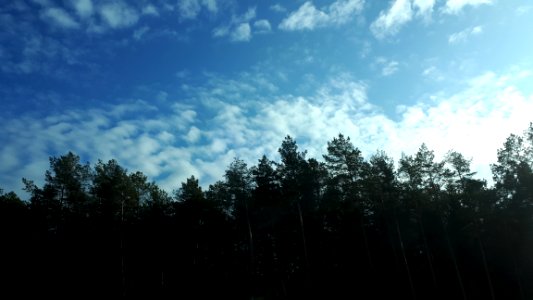 20191109_122032_November_2019_in_Poland