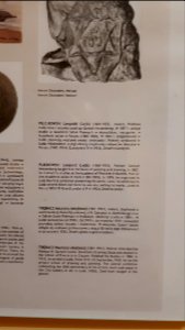 20190809_202058_Lodz