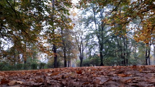 20191025_141707_October_2019_in_Warsaw