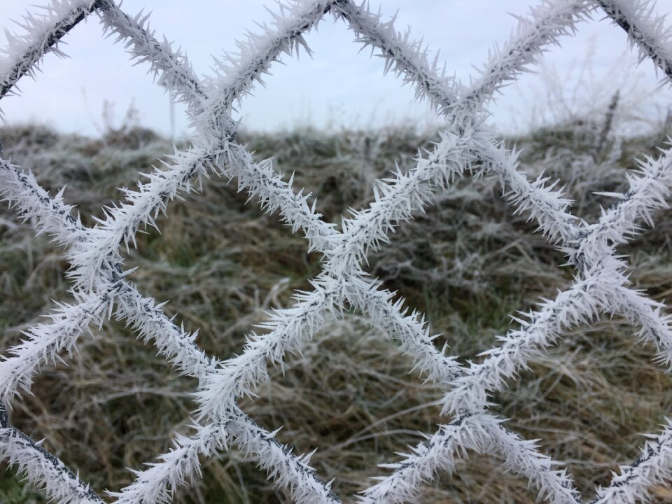 Fence cold freeze