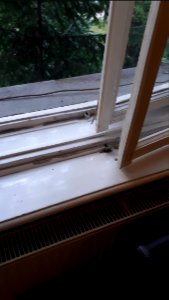 20190809_195536_Karol_Gebhardt's_house_in_Łódź