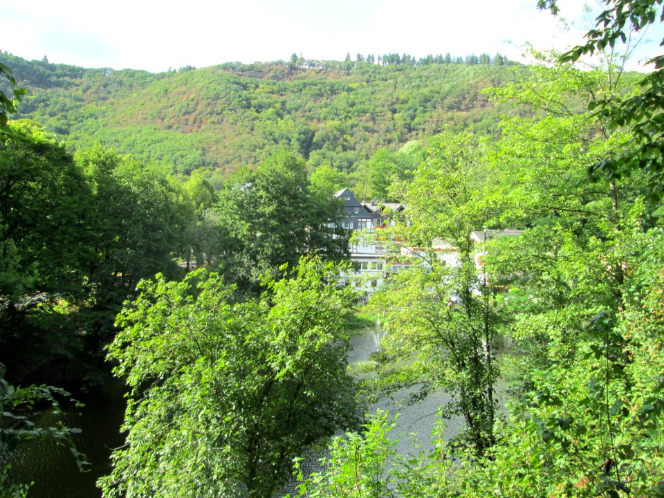 20190810Schwanenteich1