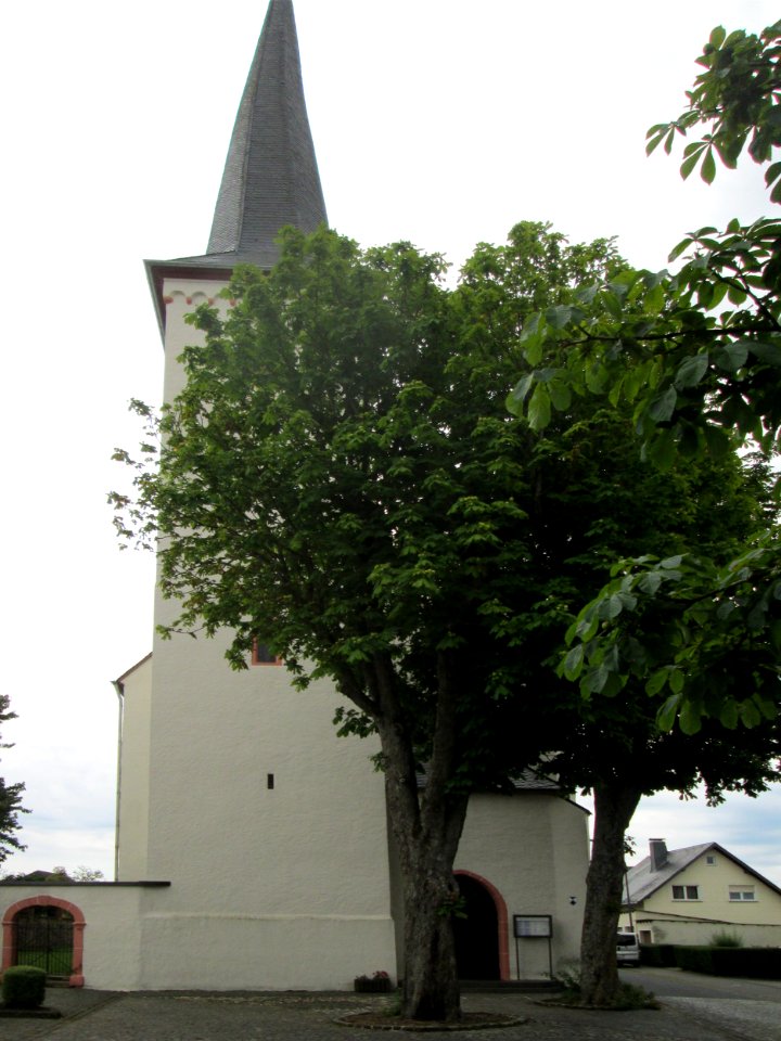 20190809Wallfahrtskirche_Driesch03