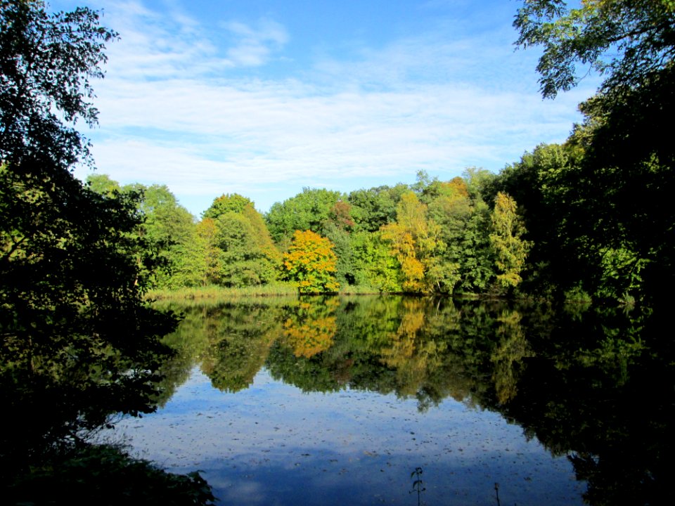 20191024Drahtzugweiher2