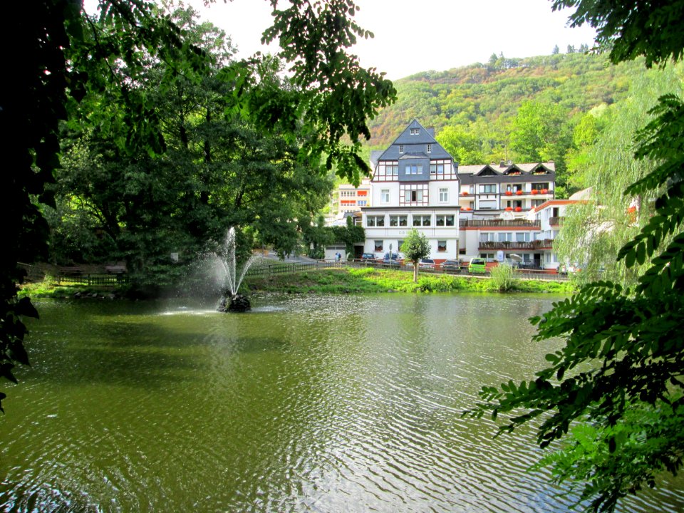 20190810Schwanenteich2
