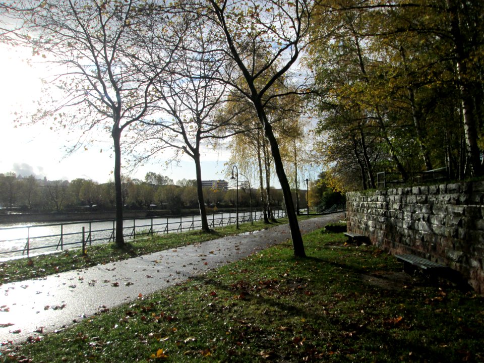 20191107Bürgerpark_Saarbrücken2