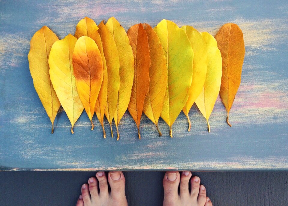 Yellow season october