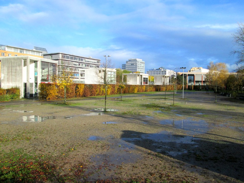 20191107Bürgerpark_Saarbrücken3