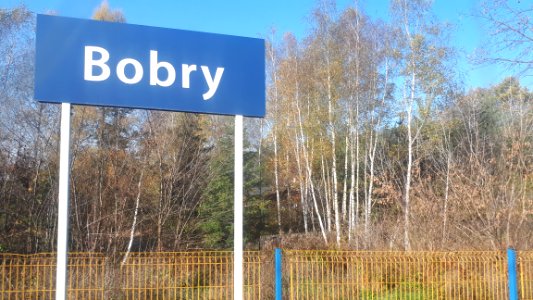 20191101_105702_Bobry_Łódź_Voivodeship