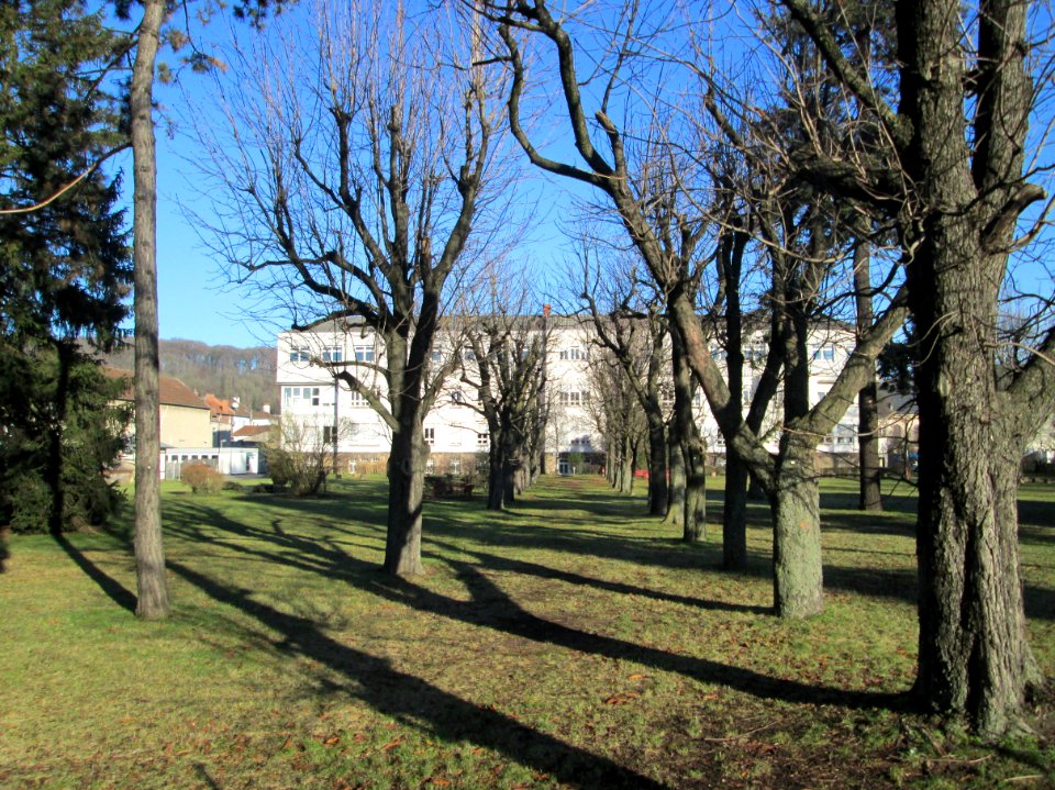 20191230SHG_Klinik_Halberg