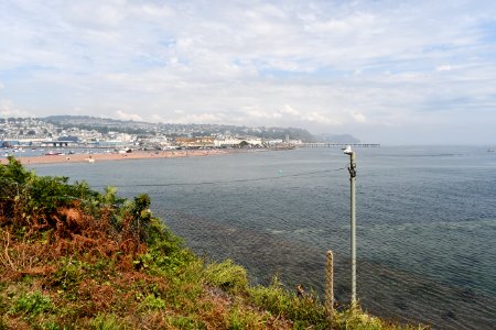 2020-08-13_Shaldon_28