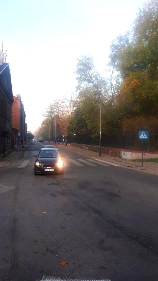 20191022_075144_Park_Źródliska_in_Łódź_October_2019