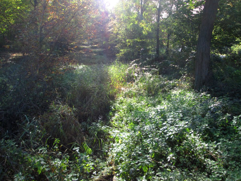 20191024Pulverbach