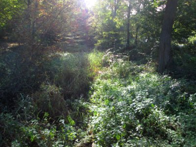 20191024Pulverbach