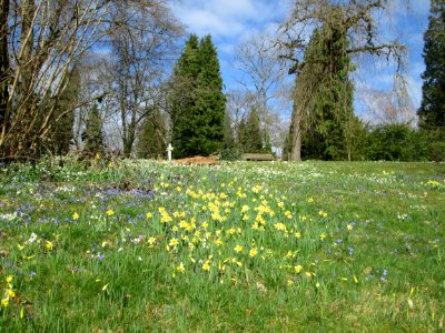 20200301Friedhof_St_Johann3
