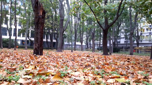 20191025_135833_October_2019_in_Warsaw