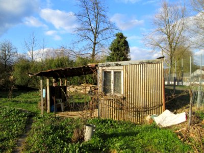 20200307Schrebergarten_Brebach
