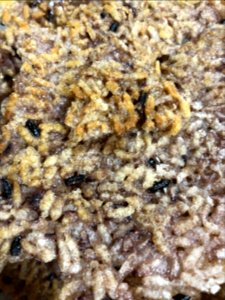 2020-03-08_20.57.34_Scorched_rice