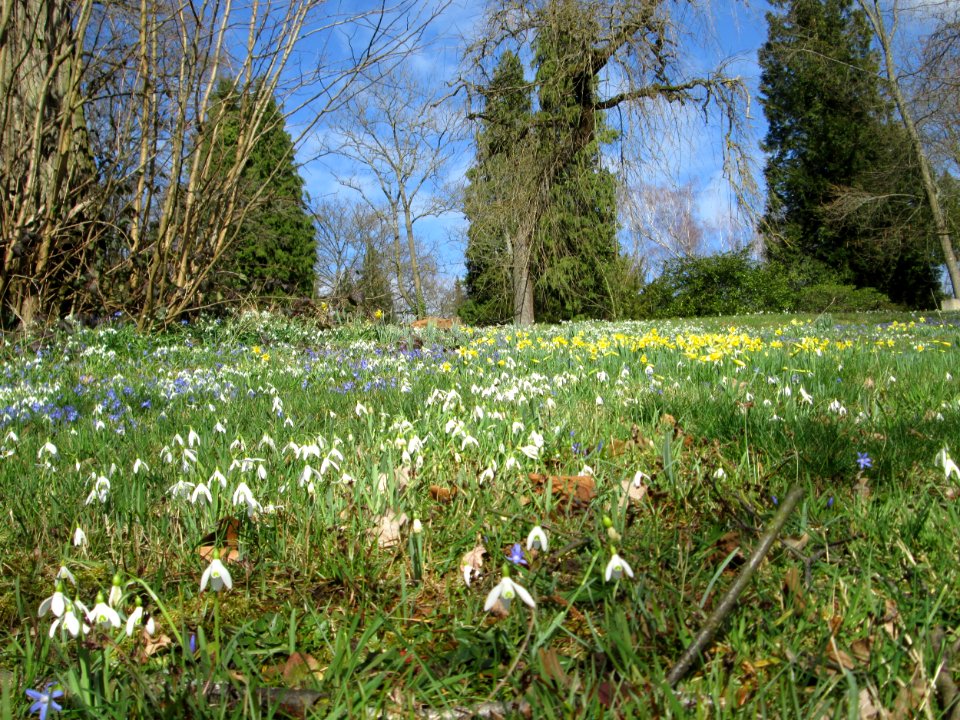 20200301Friedhof_St_Johann4