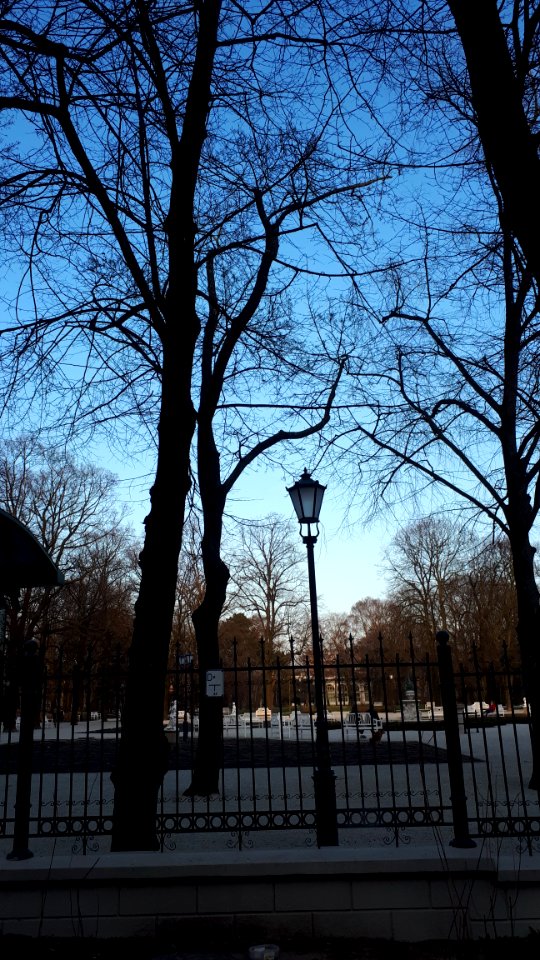 20200327_165521_Park_Sienkiewicza_in_Łódź_March_2020