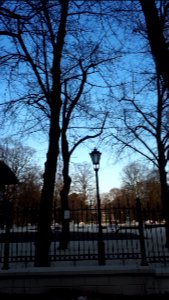 20200327_165521_Park_Sienkiewicza_in_Łódź_March_2020