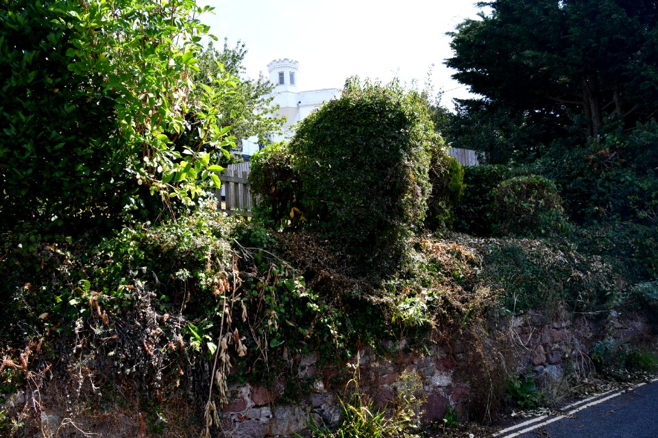 2020-08-13_Teignmouth_25