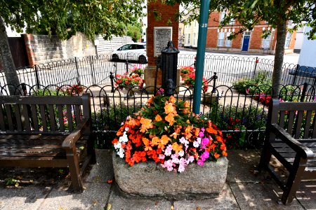 2020-08-13_Shaldon_47