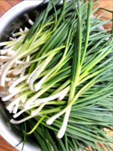 2020-03-13_21.10.21_다듬은_쪽파_korea_tree_onion