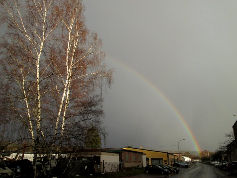 20200303Brückwiesstraße_Brebach_1