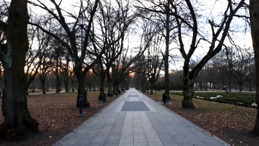 20200301_171908_Park_Poniatowskiego_w_Łodzi