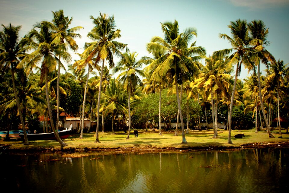 Backwaters india kerala photo