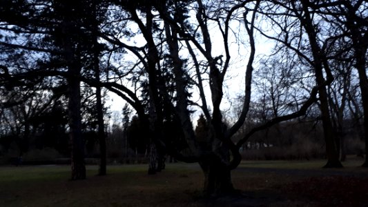 20200301_172604_Park_Poniatowskiego_w_Łodzi_March_2020