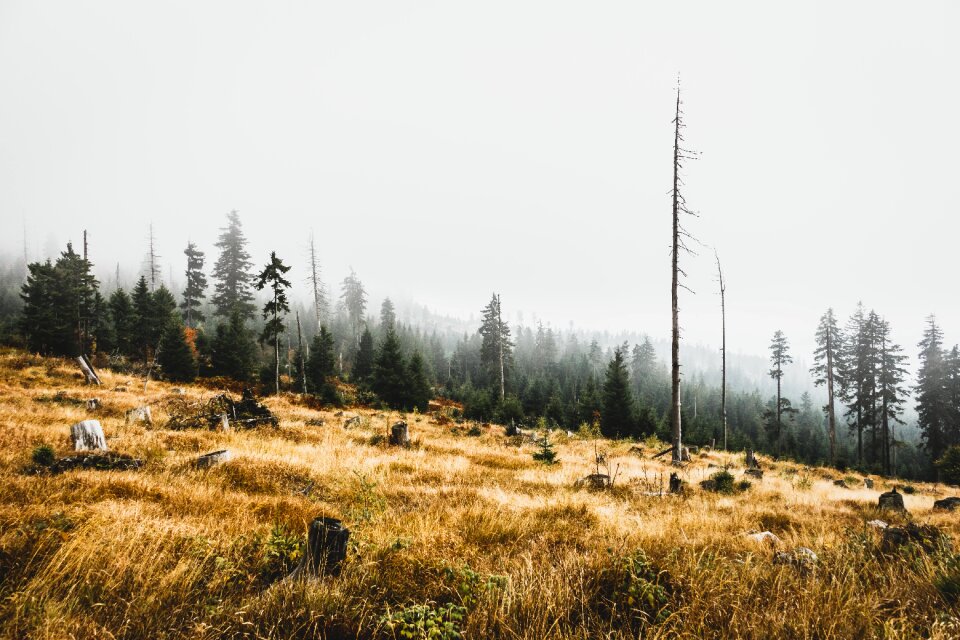 Scenic hill scenery