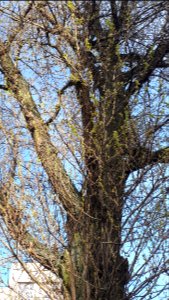 20200410_172519_April_2020_in_Lodz