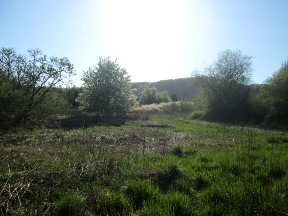 20200414Güdinger_Allmet