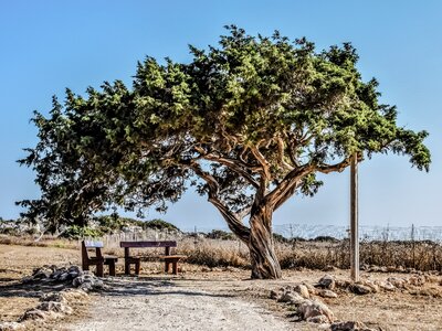 Lonely landscape nature