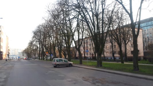 20200318_165030_Anstadta_Avenue_in_Łódź_March_2020