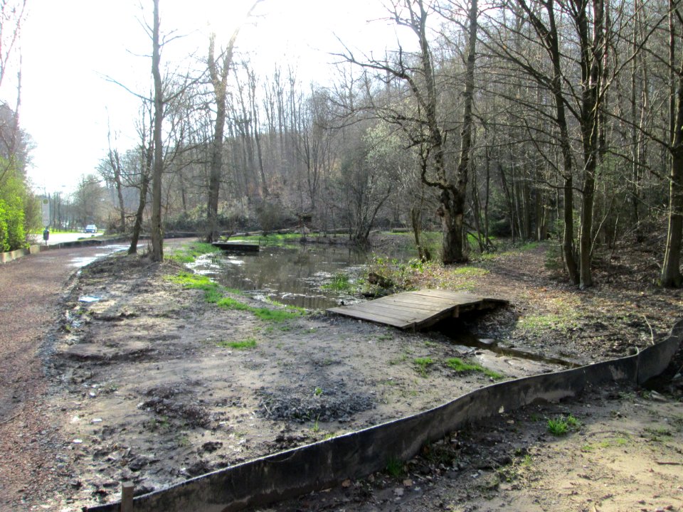 20200318Wildpark_Saarbrücken1