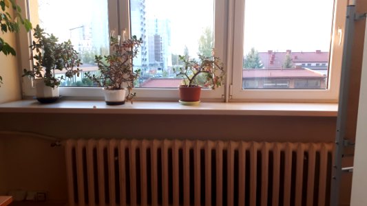 20191007_072156_Lindleya_3-5_Lodz_Narutowicza_Street_2019_University_of_Lodz